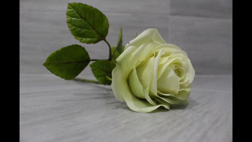 Мои цветы из глины
