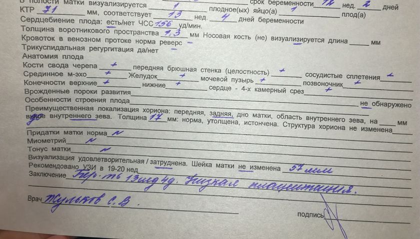 Скрининг 1