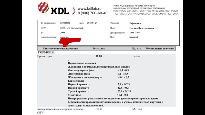 Ошибка лаборатории. ХГЧ не показал беременность. На заметку девушкам!