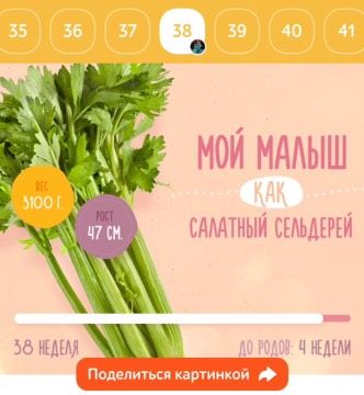 38-я!