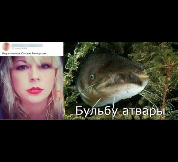 Не трогайте сома ??