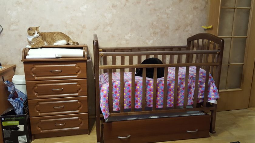 Покупки для малыша