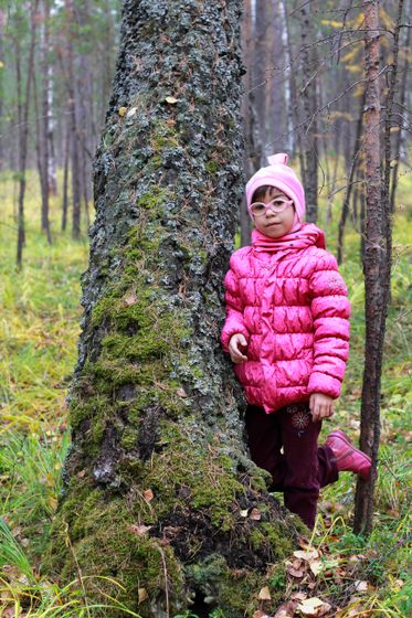 радость в буднях. Много леса и Маши