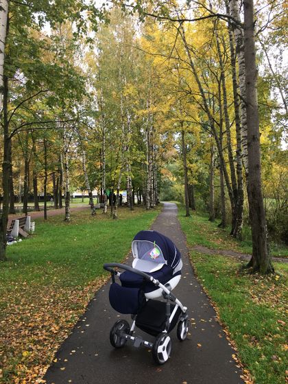 Осень🍂