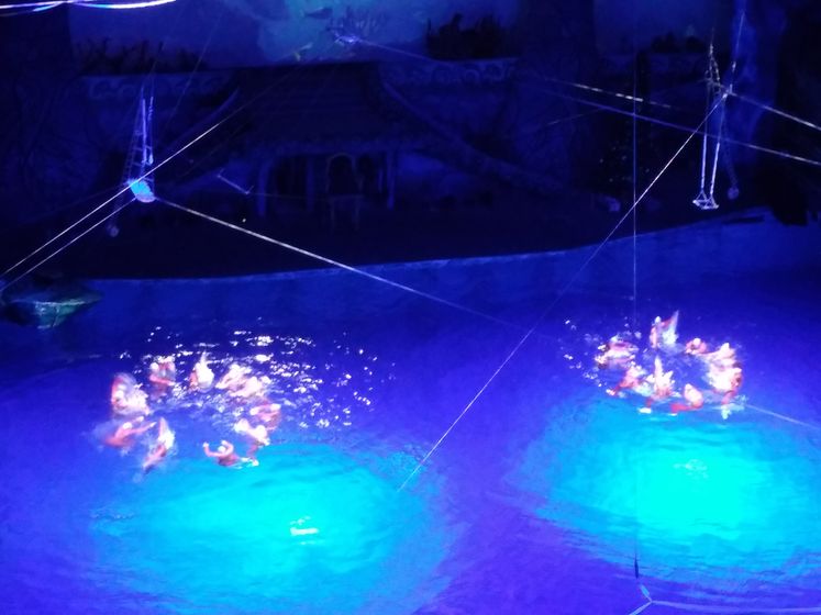 Новогодние каникулы 2018.
