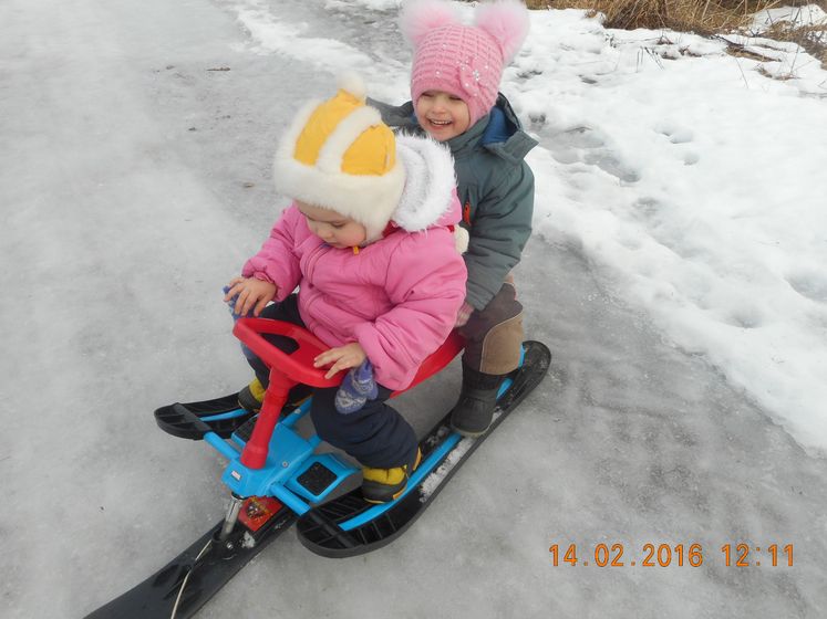 появление наше большой семьи