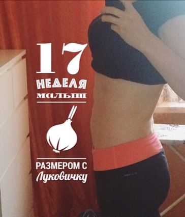 17 недель 💞