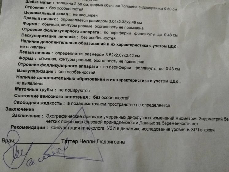 Поехали сегодня в пургу