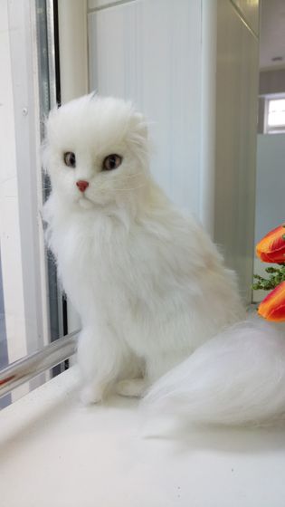 Ангорский кот Арни, 20 см