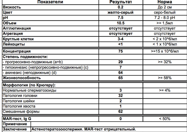 Гляньте пожалуйста анализы(спермограмма)