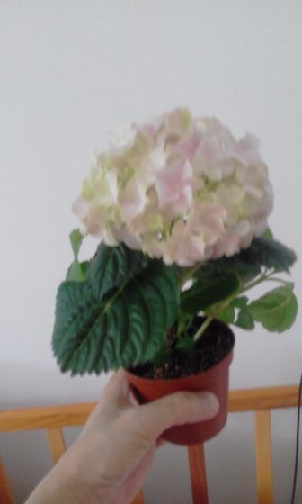 Подарок.
