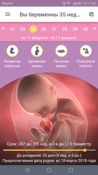 36я неделя
