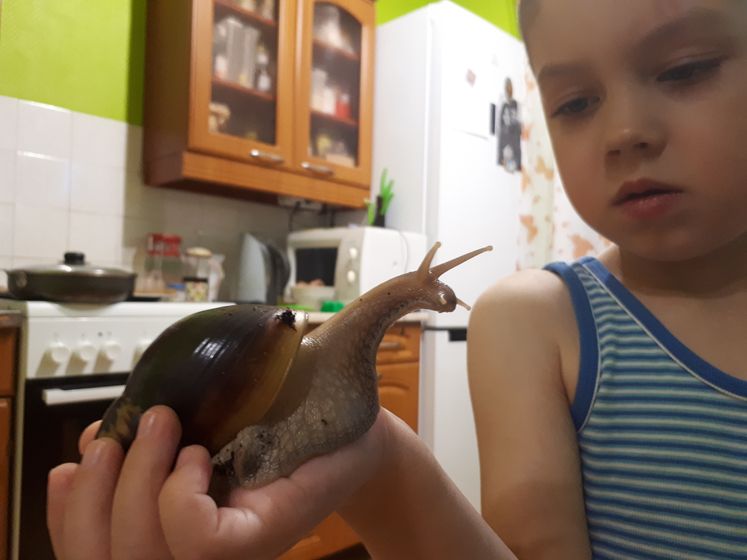 Немного нас
