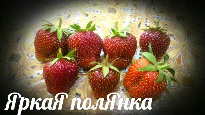 Рубиновый кулон