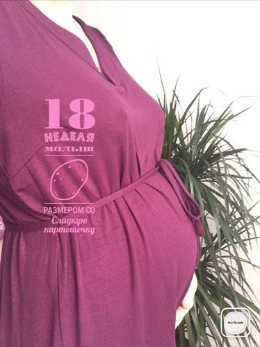 Пошла 19-я неделька