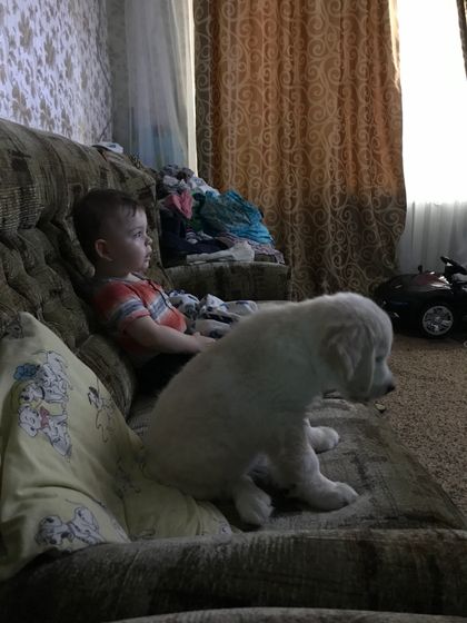 Наши новости