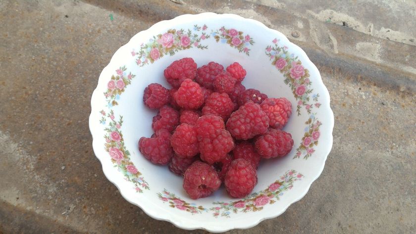 Осенние вкусняшки