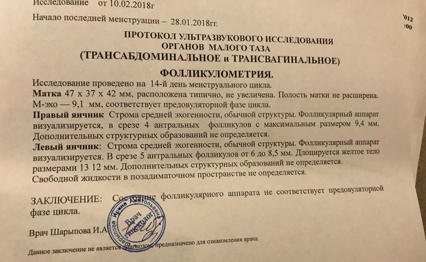 Спектакль окончен...?