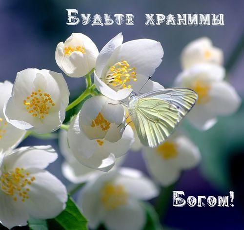 Новый год к нам мчится!
