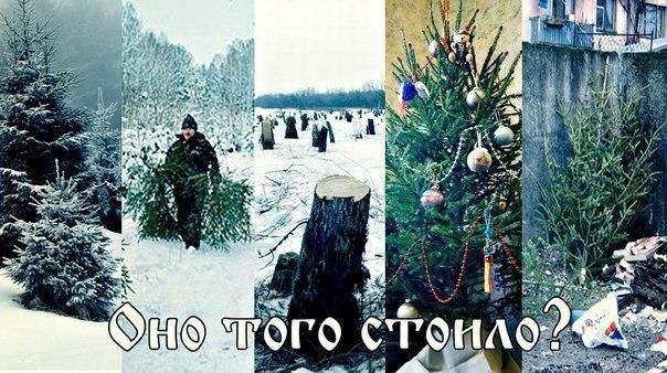 Про ёлки