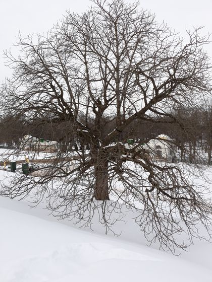 8 марта. Скукотища.