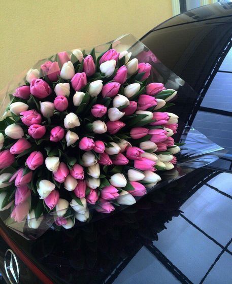 С праздником, девчули🌸💕💐💖