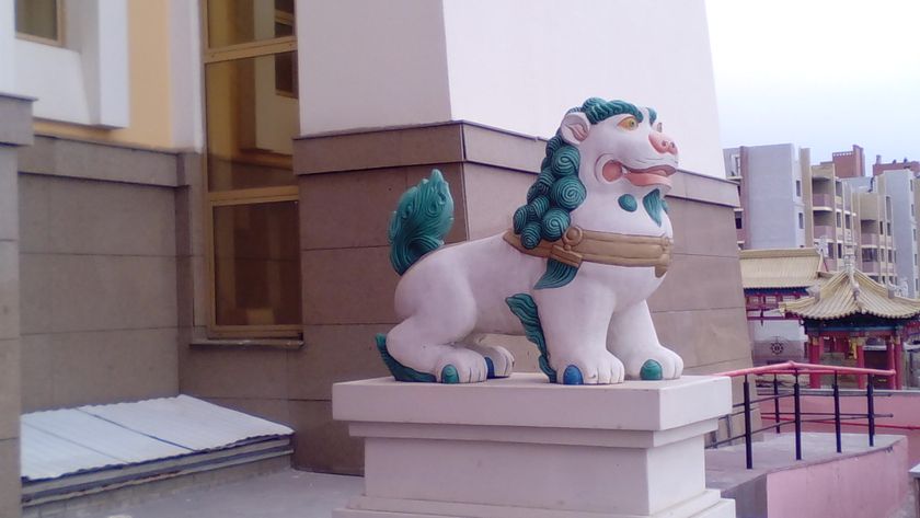 Экскурсия в Элисту.