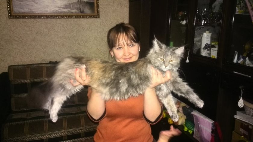 мое чудо)
