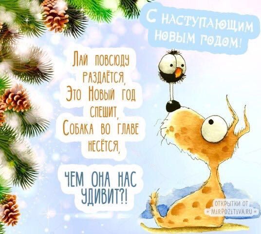 С Наступающим девчули🎄❄️🥂🎉