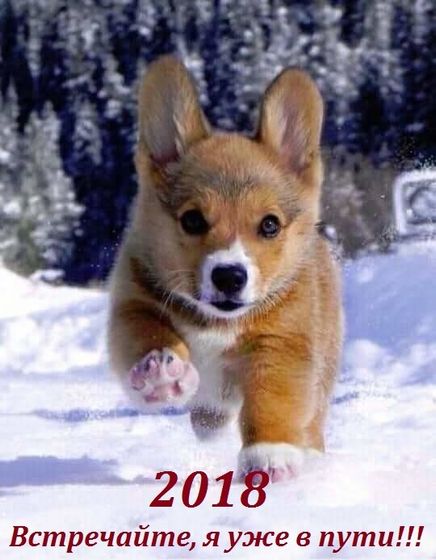 С наступающим Новым Годом