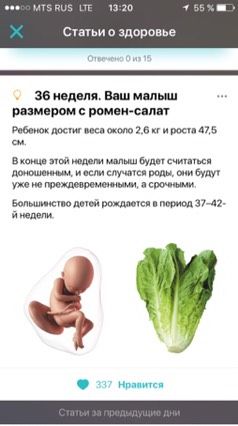 36 недель ))