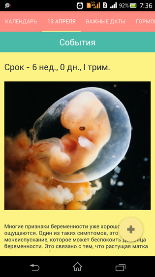 6 недель и наш крош))