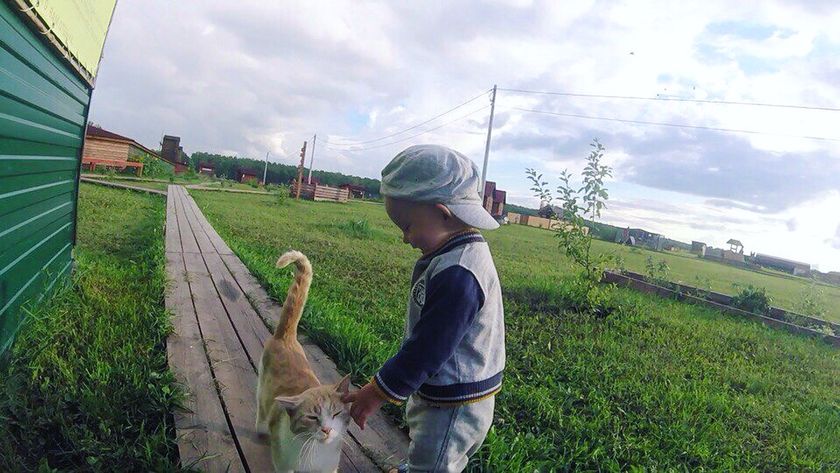 Сегодня нам 1️⃣ год ?