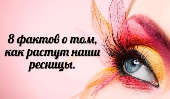 Реснички