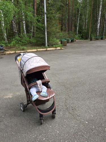 Семейные выходные 👨👩👧👦🍼🌲🐾