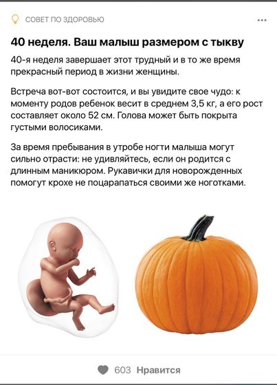 🙀🤗😉40я Неделя😯🙄🙈