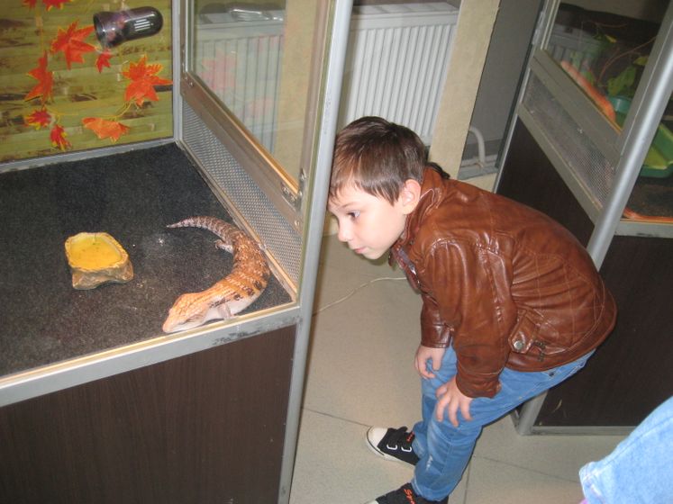 Все на Юг,а мы на Север. Продолжение))