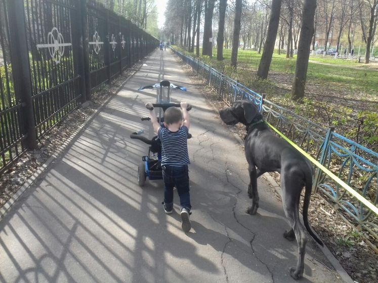 Мою любовь не описать словами :З