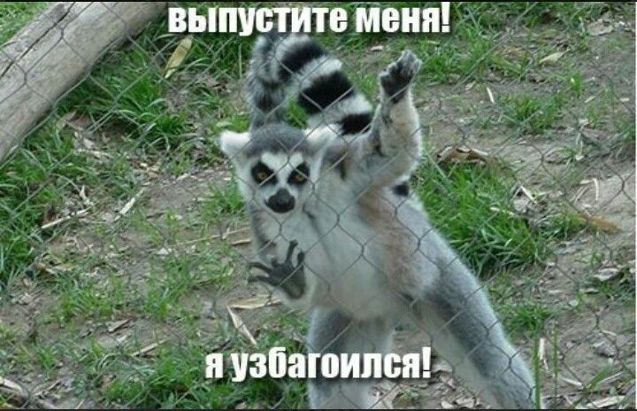 Ещё шуточек)))