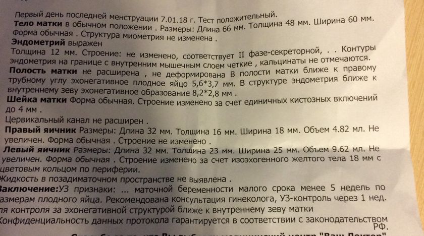 Первое УЗИ