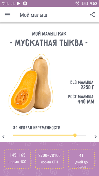 Мои 34 недельки??