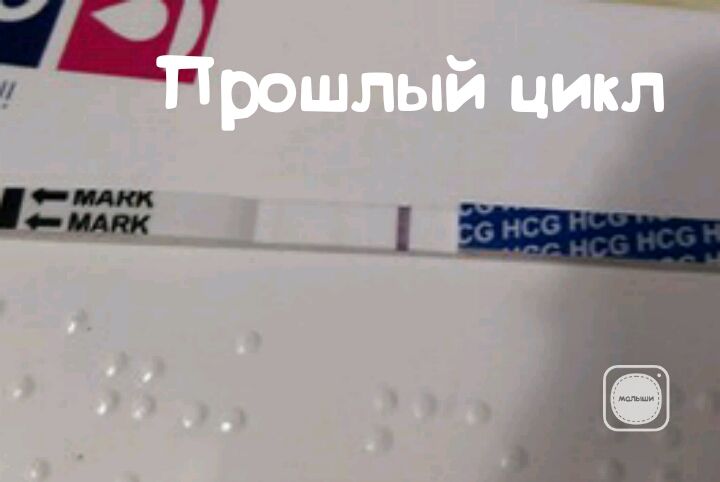 Тесты-врунишки!!!