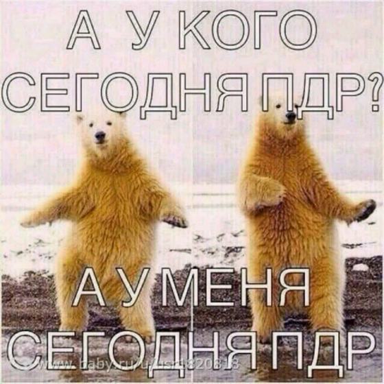 День ПДР?
