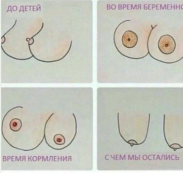 Правда жизни или эволюция при ГВ