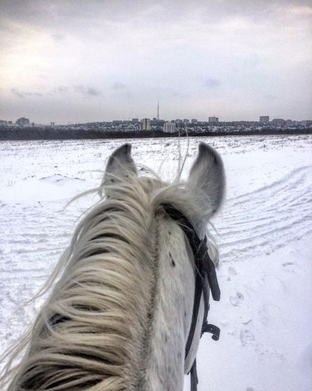 мой день