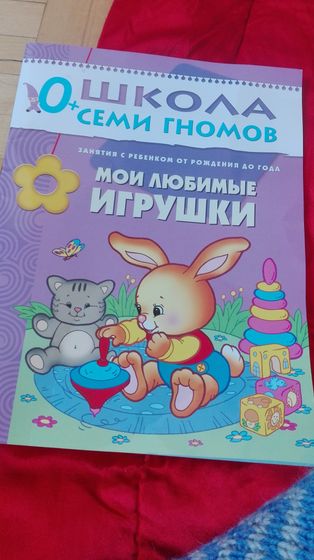 Школа 7 гномов