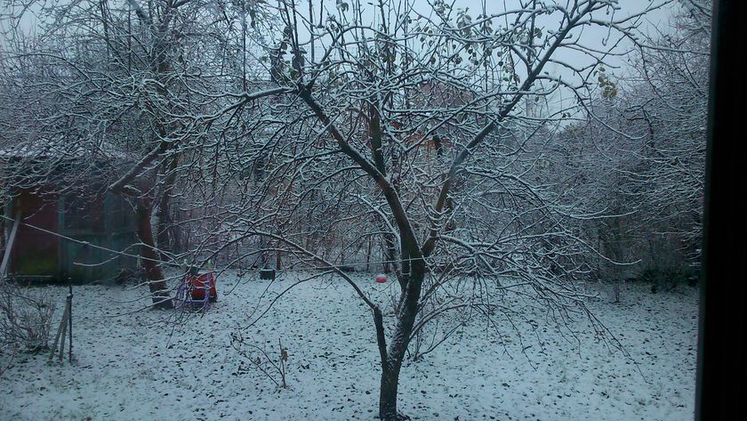 Наконец-то)))
