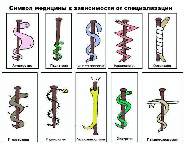 Символ медицины ?