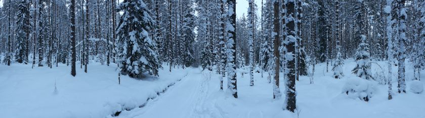 День седьмой. Эпилог. ❄❄❄
