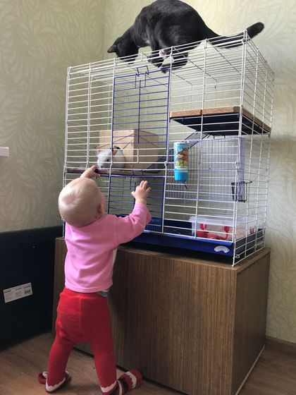 Шуня (((